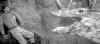 lost_world_voyage_dinosaurs.jpg (16147 bytes)