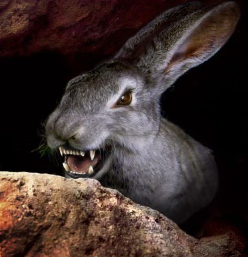 night_of_the_lepus_fangs.jpg