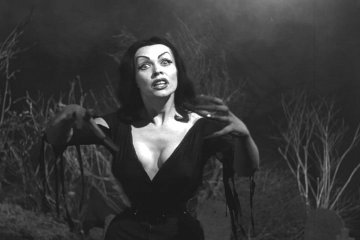 http://www.omenaheights.com/plan_9_vampira.jpg